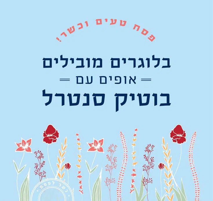 מתכוני פסח בוטיק סנטרל